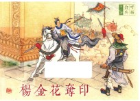 呼杨合兵  1  杨金花夺印 封面