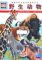 野生动物 封面