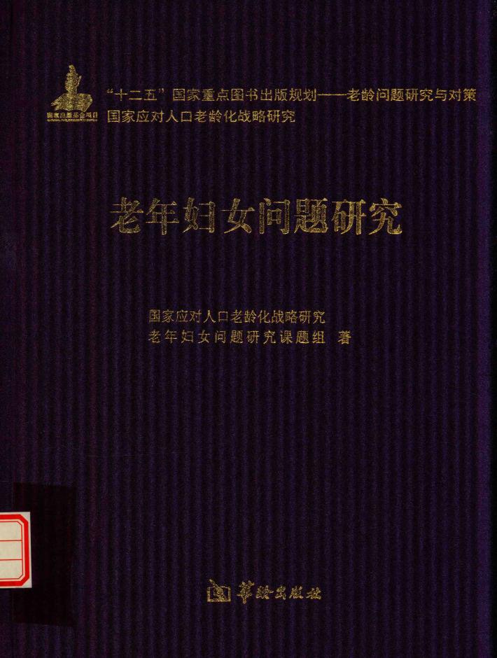 老年妇女问题研究 封面