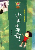 小男生平奇 封面