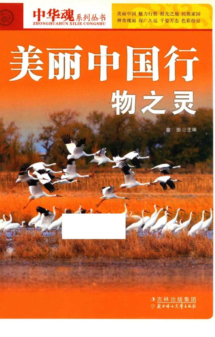 美丽中国行物之灵 封面