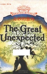 奇妙的意外 封面