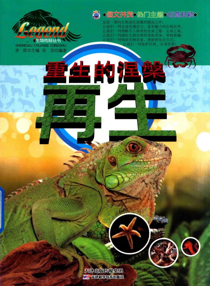 重生的涅盘  再生 封面