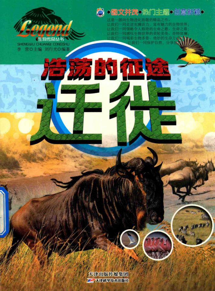 生物传奇丛书  浩荡的征途  迁徒 封面