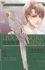 流光如梦 封面