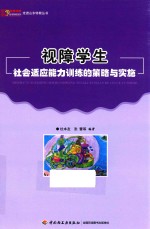 视障学生社会适应能力训练的策略与实施 封面