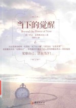 当下的觉醒 封面