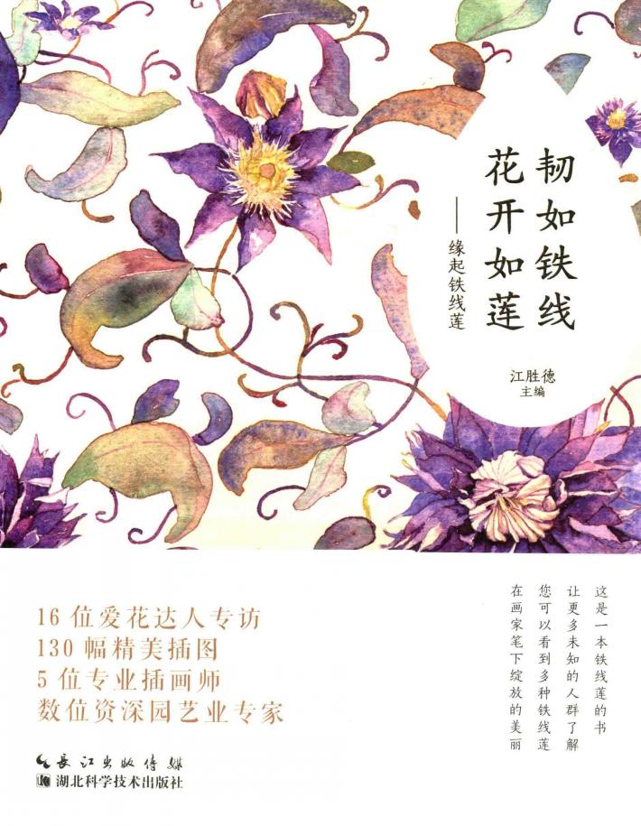 韧如铁线花开如莲  缘起铁线莲 封面