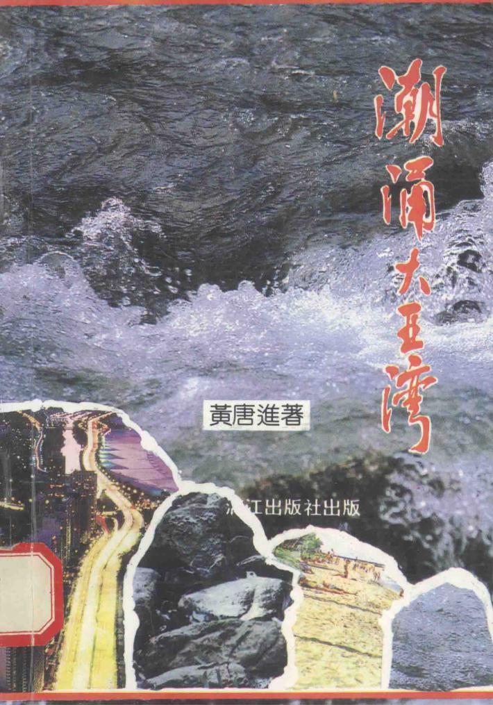 潮涌大亚湾 封面