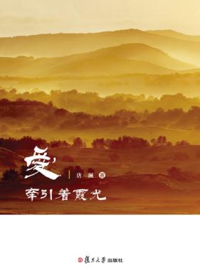 爱  牵引着霞光 封面