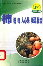柿  桃  梅  人心果  板栗栽培 封面