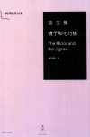 攻玉集  镜子和七巧板 封面