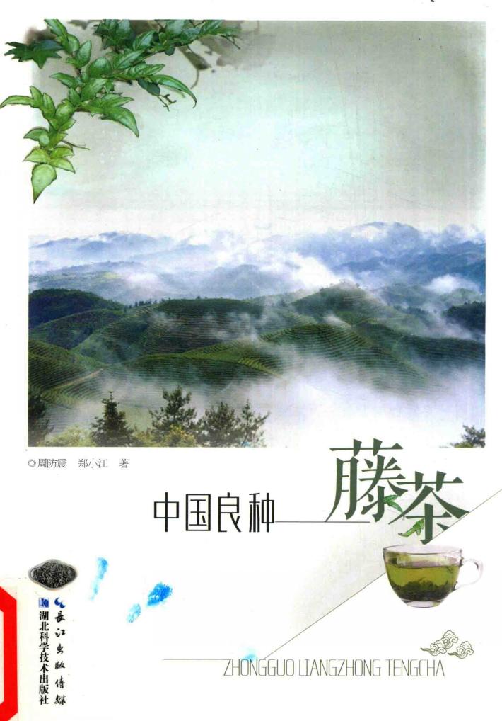 中国良种  藤茶 封面