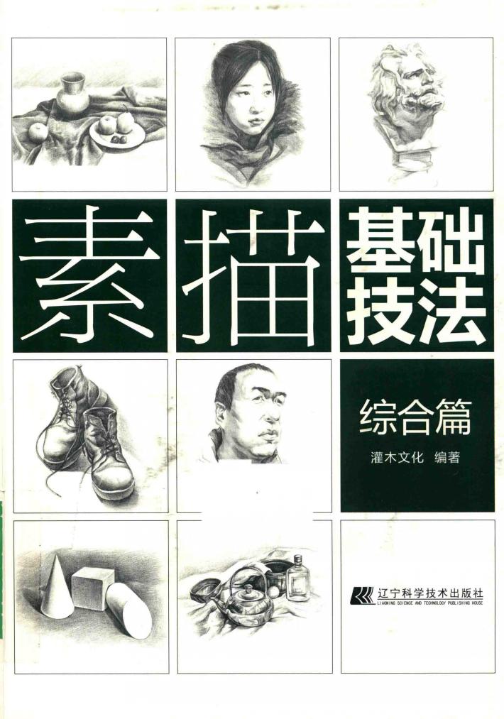 素描基础技法  综合篇 封面