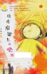 灯笼街童话  住在房梁上的必必 封面