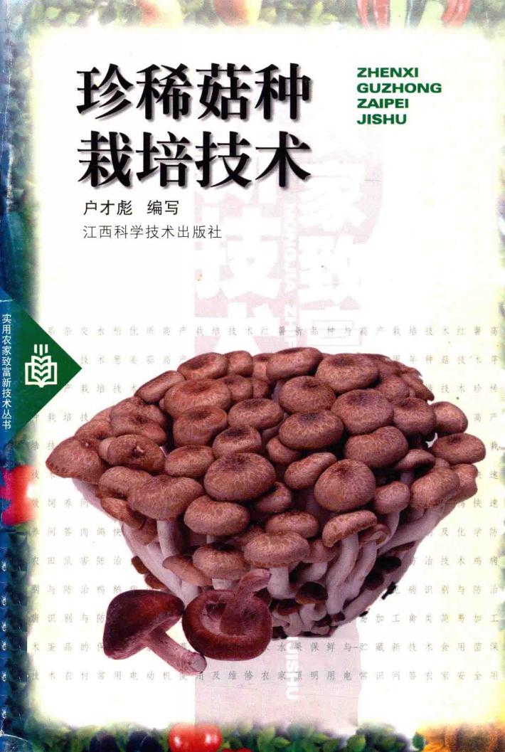 珍稀菇种栽培技术 封面