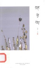 兴京街 封面