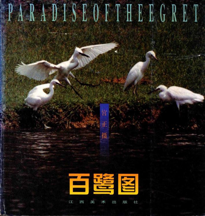 百鹭图 封面