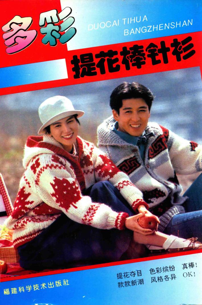 多彩提花棒针衫 封面