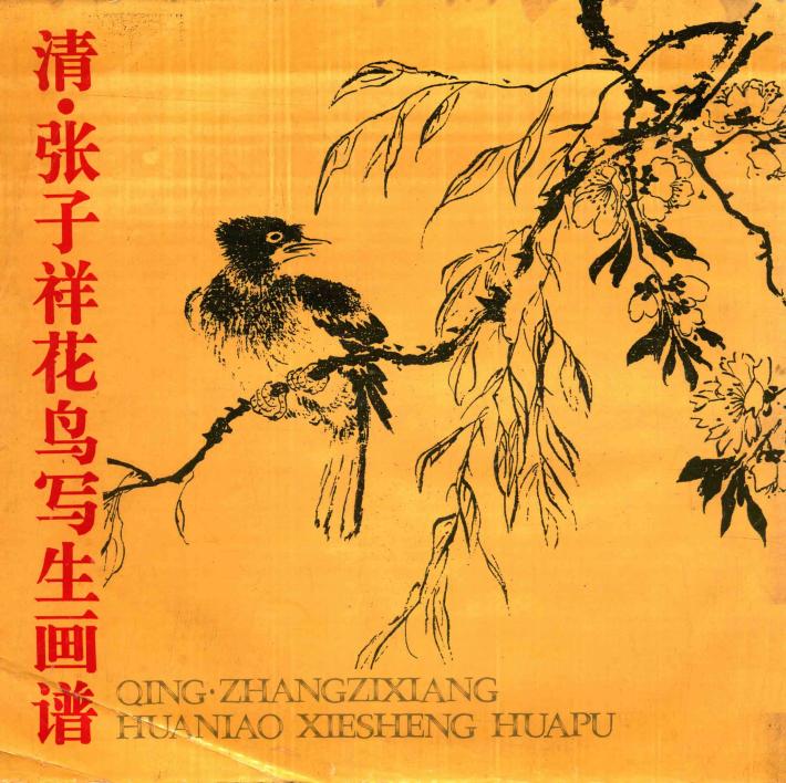 清·张子祥花鸟写生画谱 封面