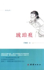 热河丛书  琥珀痕 封面