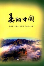 城镇化进程与区域经济发展纵横谈  美丽中关 封面