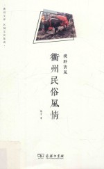 朴野清风  衢州民俗风情 封面