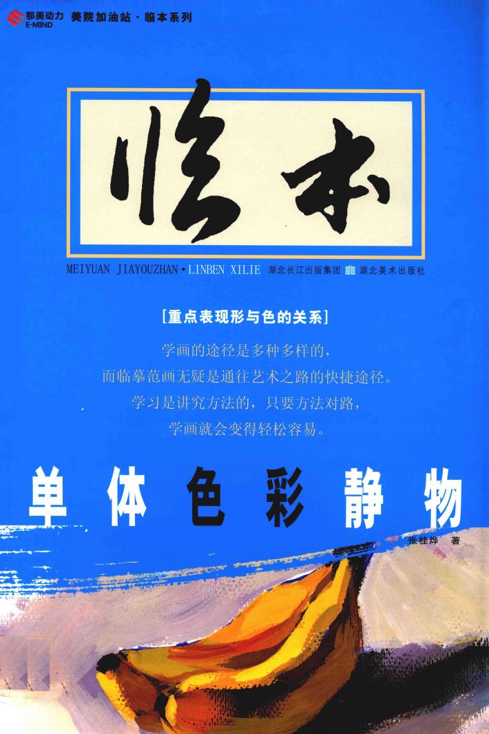 单体色彩静物 封面