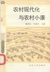 农村现代化与农村小康 封面