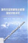 城市污泥热解转化机理及经济性评价 封面