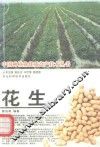 花生 封面
