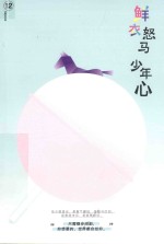 鲜衣怒马少年心 封面