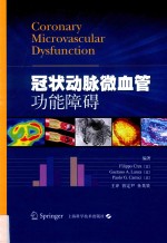 冠状动脉微血管功能障碍 封面