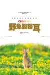 世界动物小说精品书系  野兔豁豁耳  影像青少版 封面