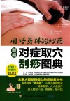 新编对症取穴刮痧图典 封面