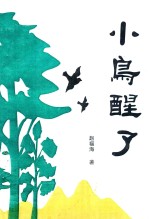 小鸟醒了 封面