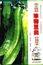 图文精解珍稀豆类种植技术 封面