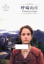 呼啸山庄 封面