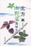 北方山野菜高效生产 封面