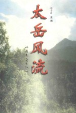 太岳风流 封面