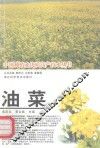 油菜 封面