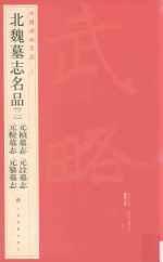 北魏墓志名品  2  元桢墓志  元诠墓志  元倪墓志  元纂墓志 封面