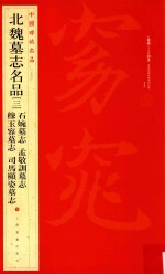 北魏墓志名品  3  石婉墓志  孟敬训墓志  穆玉容墓志  司马显姿墓志 封面