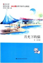 月光下的猫 封面