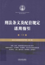 刑法条文及配套规定适用指引  下 封面