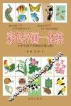 彩色字画一体练  小学生练字学画综合练习册 封面