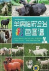 羊病临床诊治彩色图谱 封面
