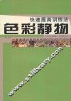 快速提高训练法  色彩静物 封面