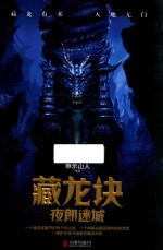 藏龙诀  夜郎迷城 封面