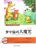 梦中偷鸡大魔咒 封面